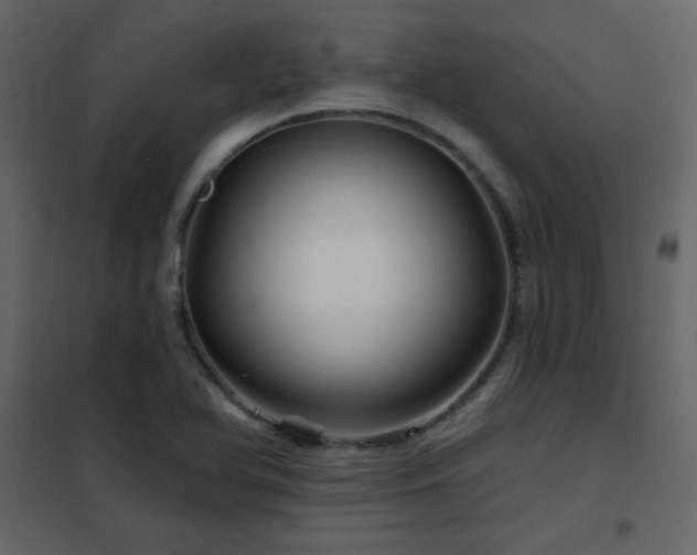 X0000102541366200808081511