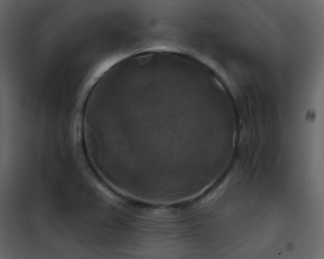 X0000102541367200808081511