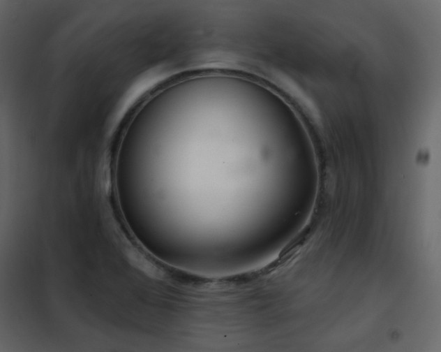 X0000102541368200808081511