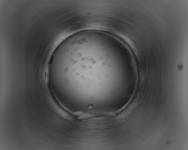 X0000102541371200808081511