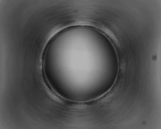 X0000102541372200808081511