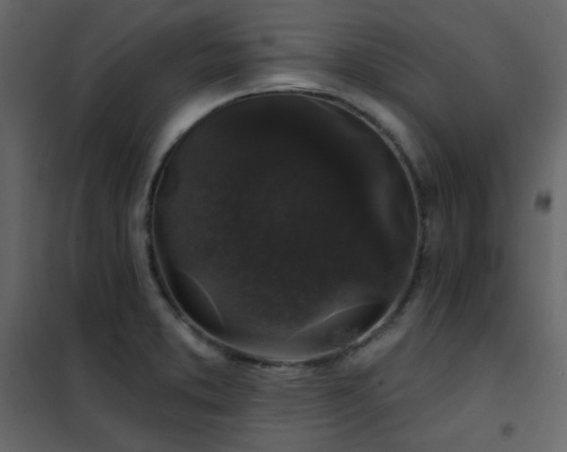 X0000102541373200808081511