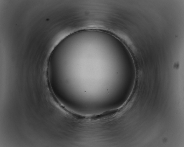 X0000102541374200808081511
