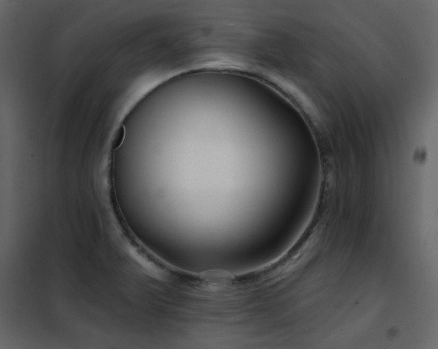 X0000102541375200808081511