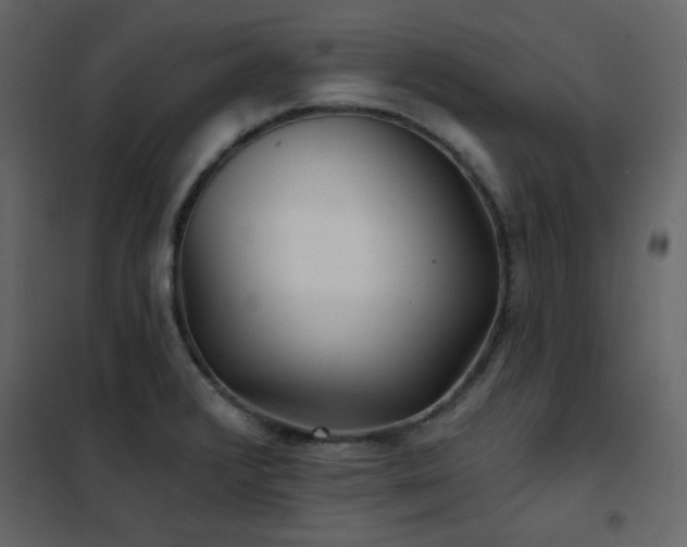 X0000102541376200808081511