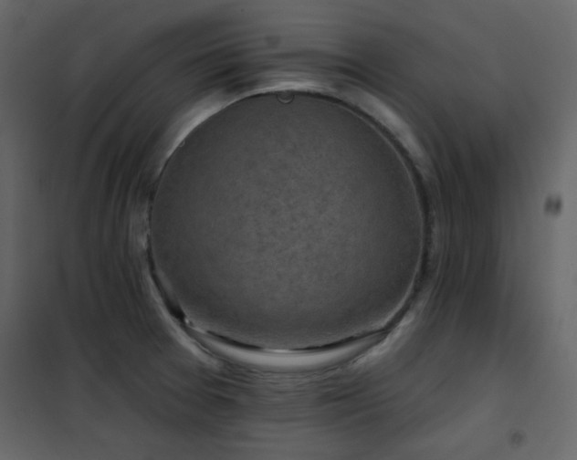 X0000102541377200808081511