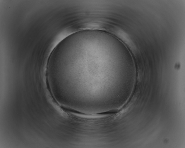 X0000102541378200808081511