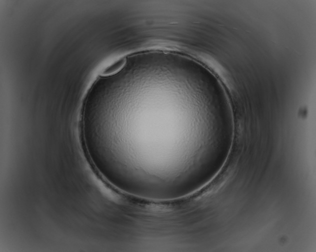 X0000102541379200808081511