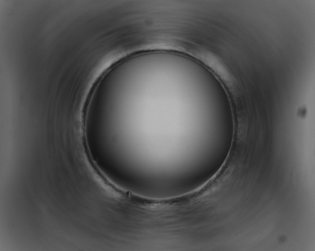 X0000102541380200808081511