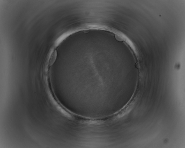 X0000102541381200808081511