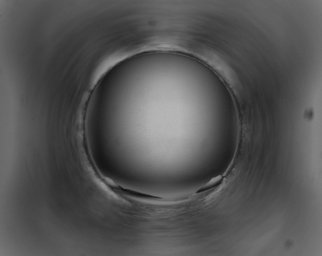 X0000102541382200808081511