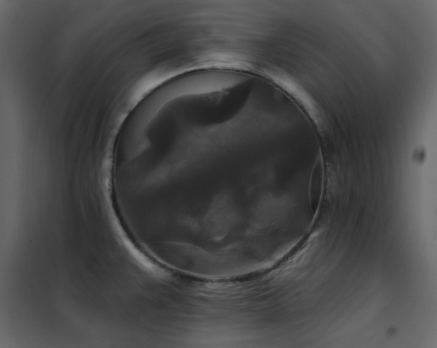 X0000102541383200808081511