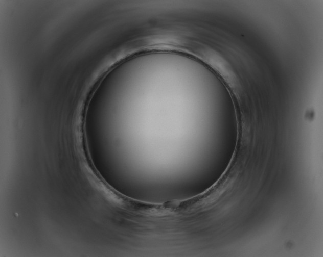 X0000102541384200808081511