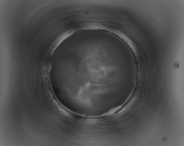 X0000102541385200808081511