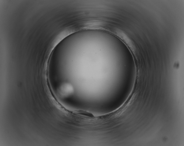 X0000102541386200808081511