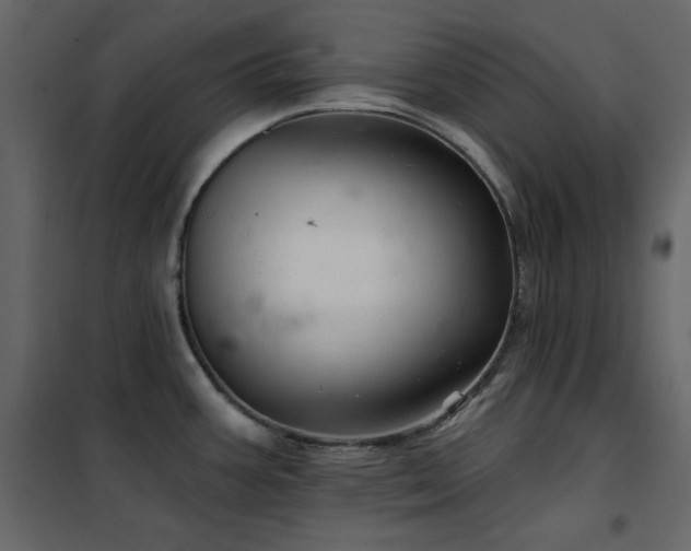 X0000102541387200808081511