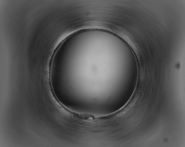 X0000102541388200808081511