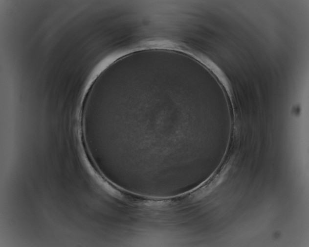 X0000102541389200808081511