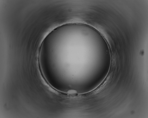 X0000102541390200808081511