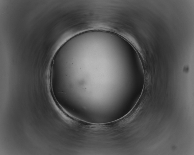 X0000102541391200808081511