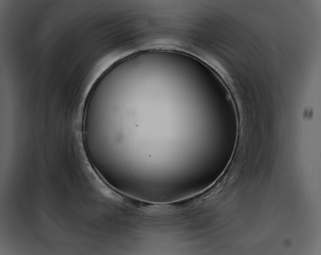 X0000102541392200808081511