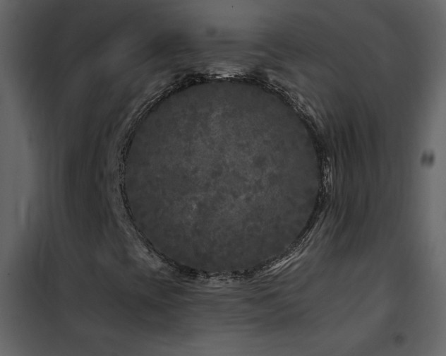 X0000102541393200808081510