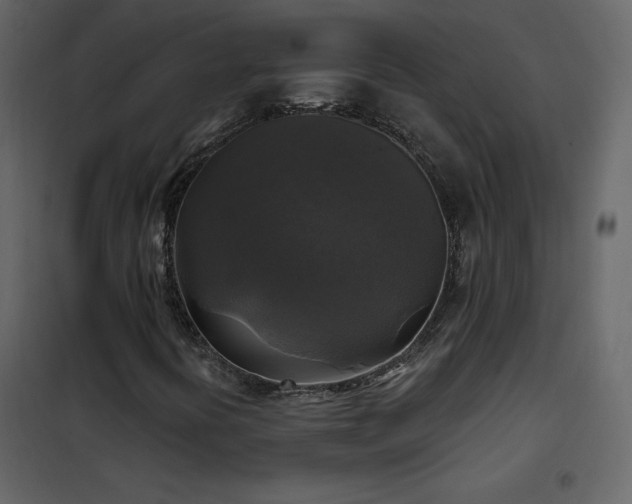 X0000102541394200808081510