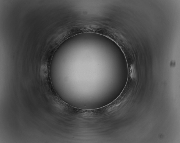 X0000102541395200808081510