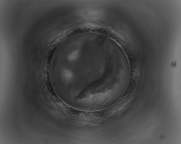 X0000102541397200808081510