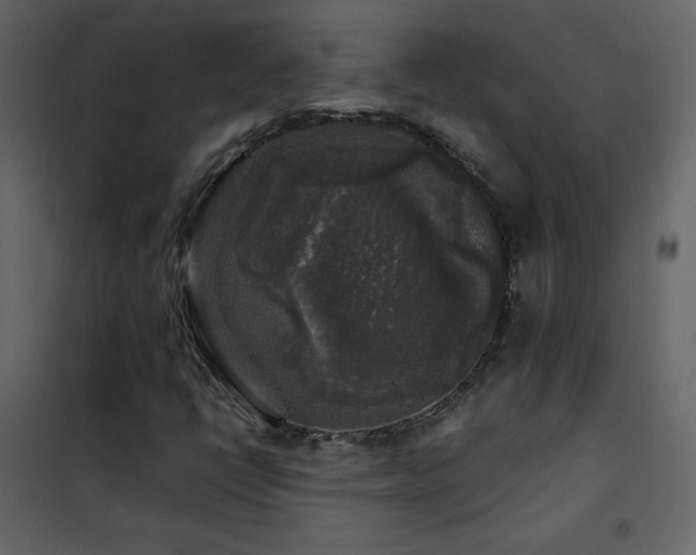 X0000102541398200808081510