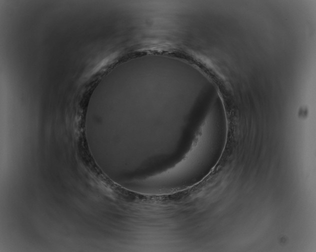 X0000102541399200808081510
