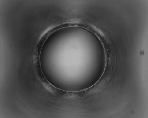 X0000102541400200808081510