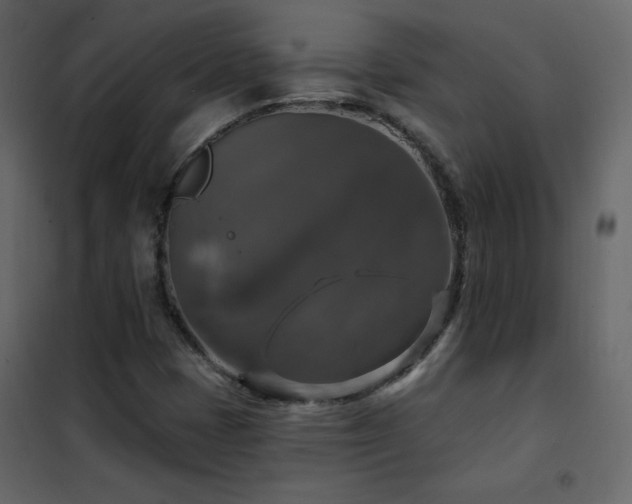 X0000102541401200808081510