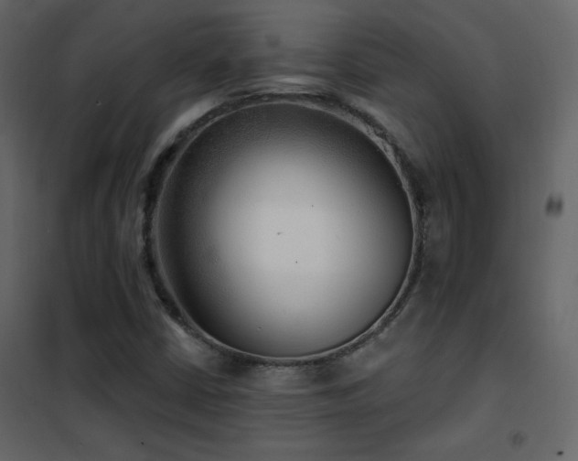 X0000102541402200808081511