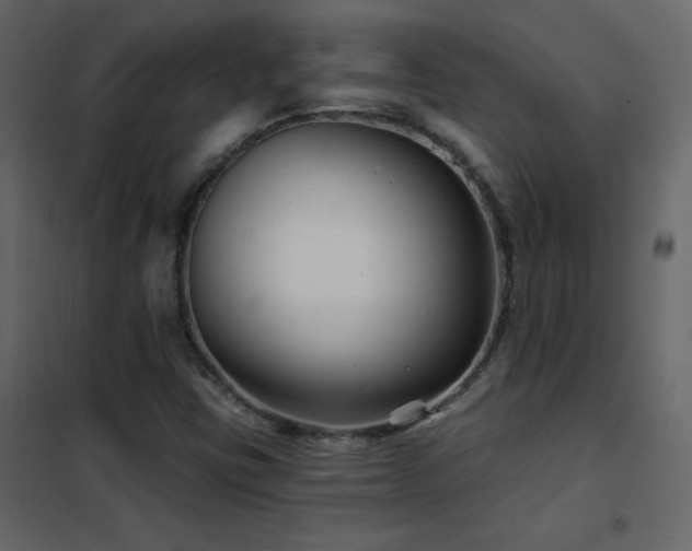 X0000102541403200808081511