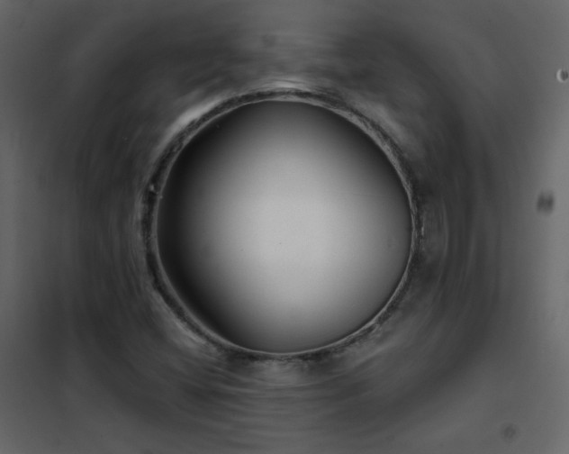 X0000102541404200808081511