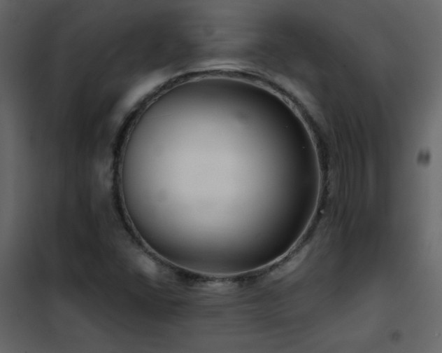 X0000102541406200808081511
