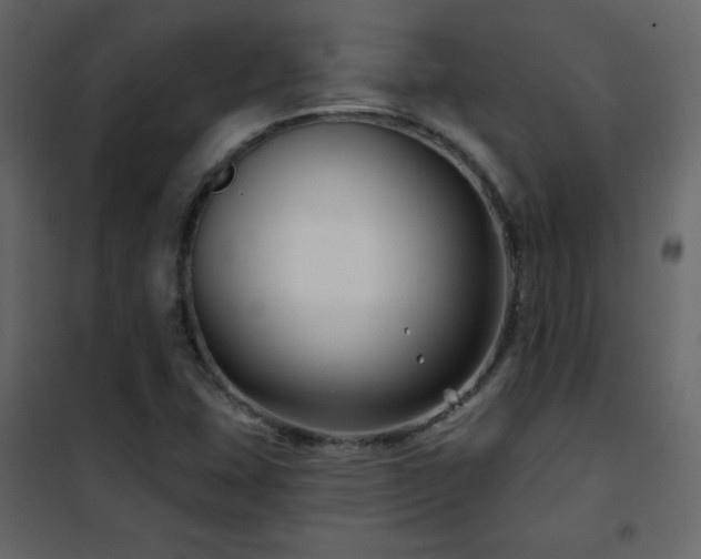X0000102541407200808081511