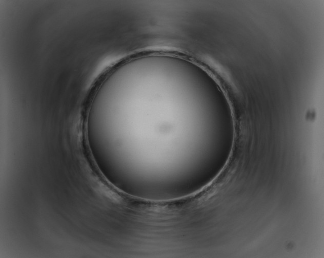 X0000102541408200808081511