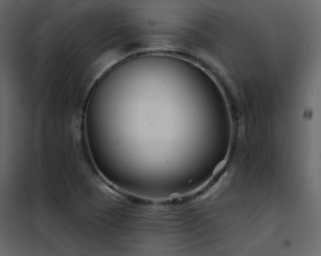 X0000102541409200808081511