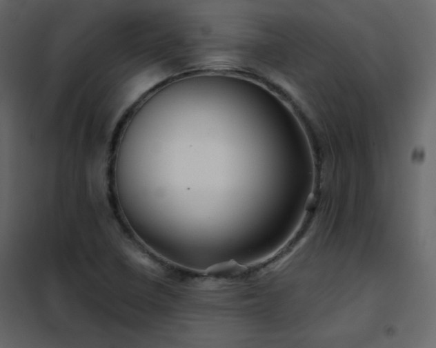 X0000102541410200808081511