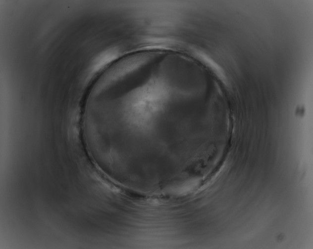 X0000102541411200808081511