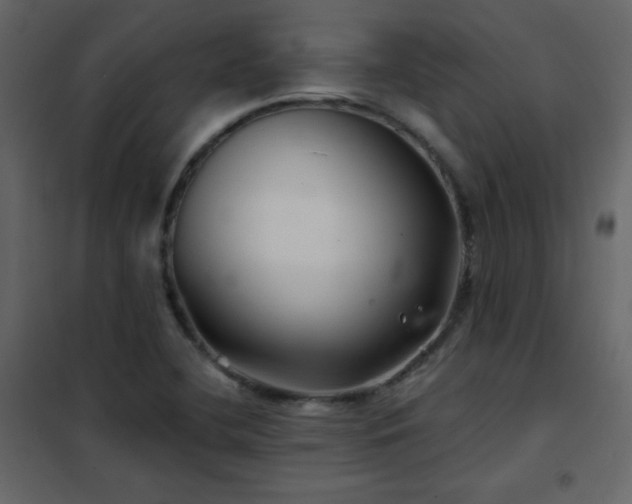 X0000102541412200808081511