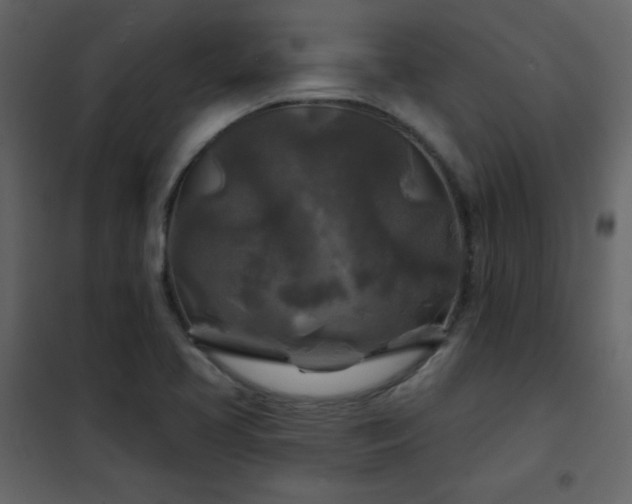X0000102541413200808081511