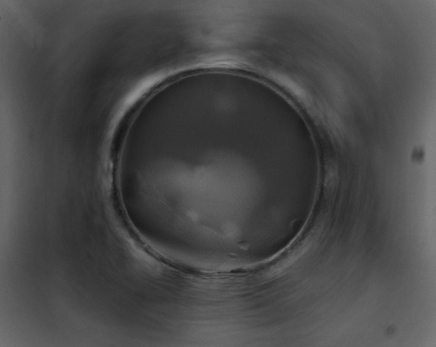 X0000102541414200808081511