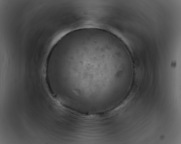 X0000102541415200808081511