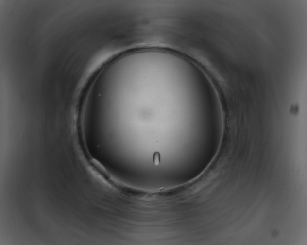 X0000102541416200808081511