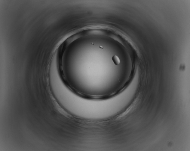 X0000102541417200808081511