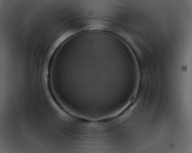 X0000102541418200808081511