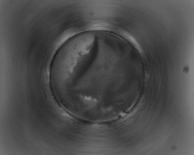 X0000102541419200808081511
